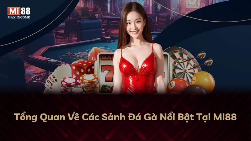 Tổng Quan Về Các Sảnh Đá Gà Nổi Bật Tại MI88